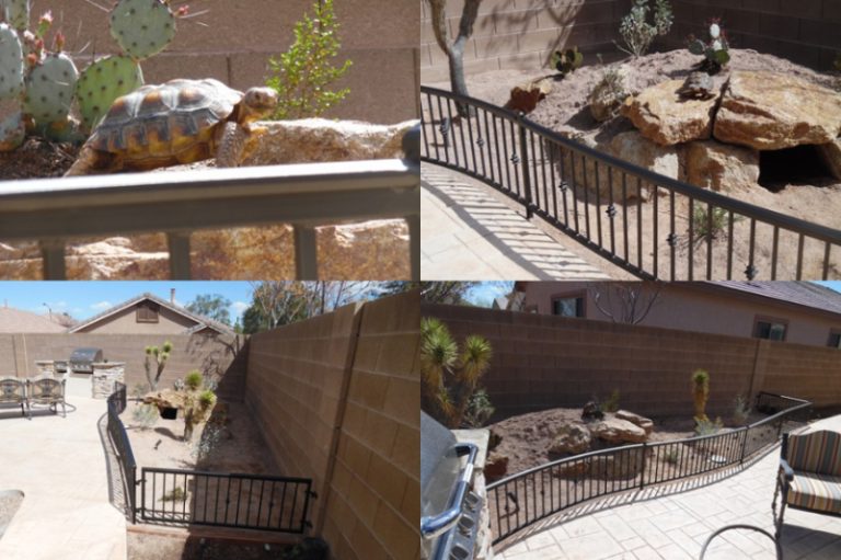 Pet Fence PF0005