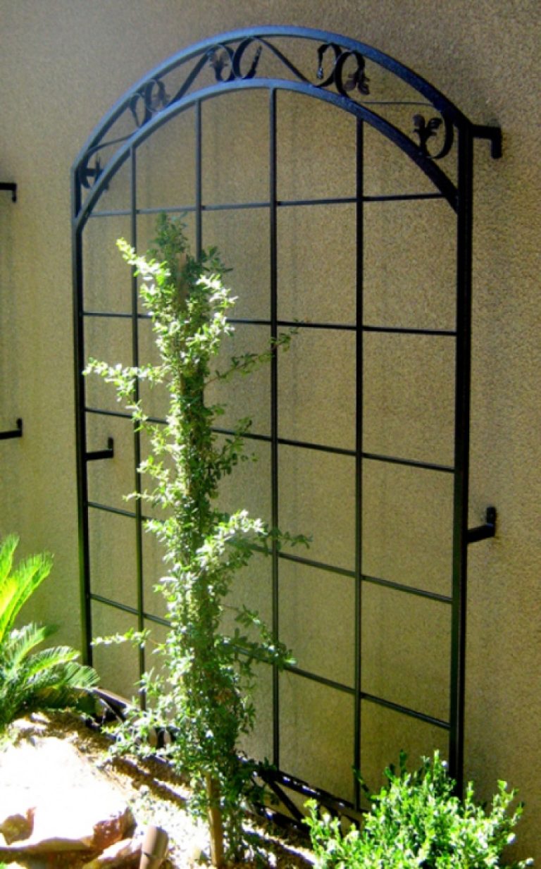Trellis TRE0005