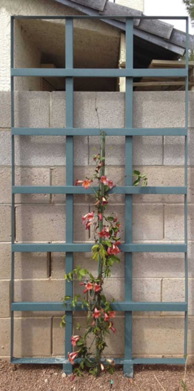 Trellis TRE0007