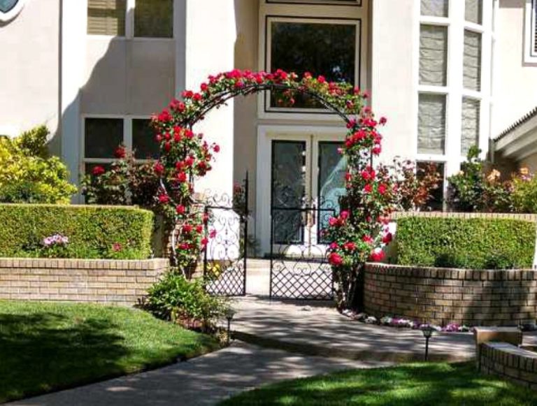 Trellis TRE0015