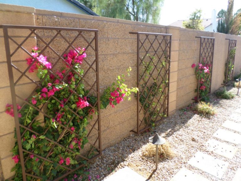 Trellis TRE0019