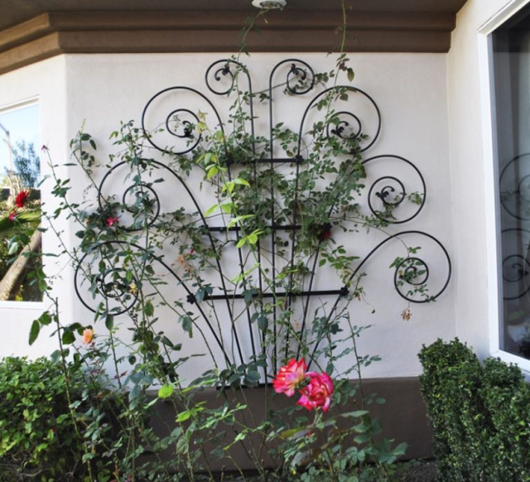 Trellis TRE0022