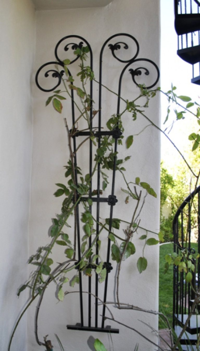 Trellis TRE0023