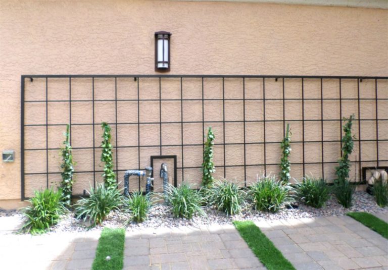 Trellis TRE0024