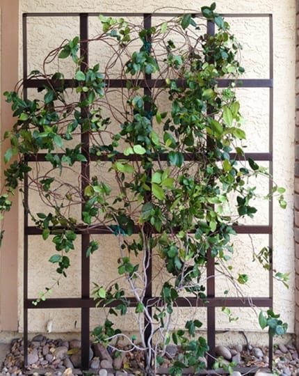 Wrought Iron Trellis LV