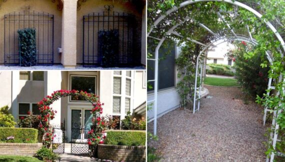 Transform Your Backyard With Wrought Iron Trellis